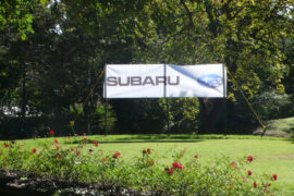 Subaru-golfclub-4