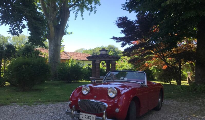 AUSTIN HEALEY 1.0 SPRITE FROGEYE pieno