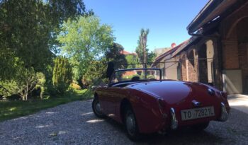 AUSTIN HEALEY 1.0 SPRITE FROGEYE pieno