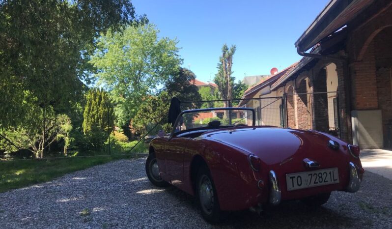 AUSTIN HEALEY 1.0 SPRITE FROGEYE pieno
